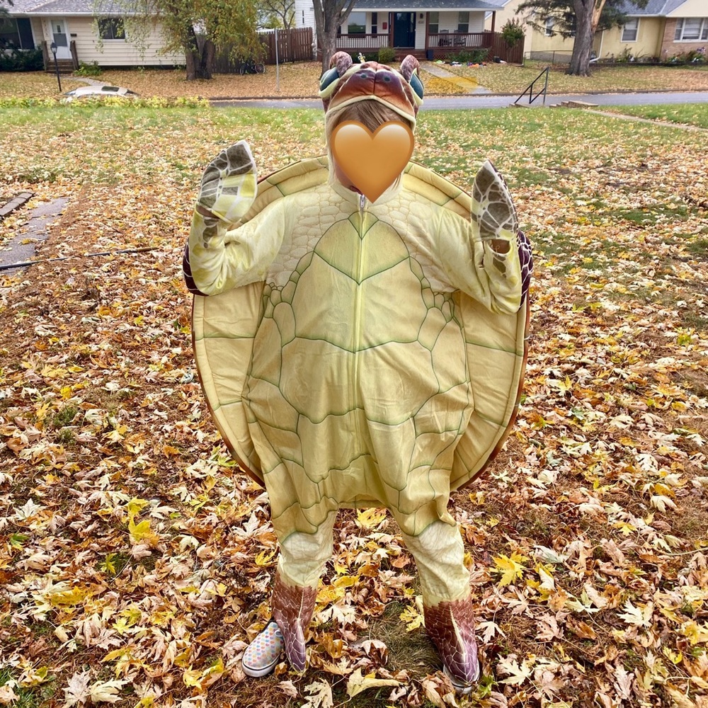 Kids Turtle Costume - Green and Brown